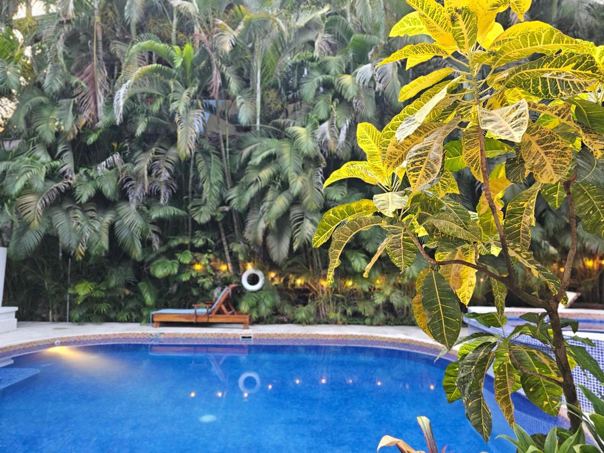 Dreamcatcher Hotel - Atrapasuenos Playa Santa Teresa  Экстерьер фото